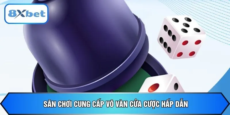 Sân chơi cung cấp vô vàn cửa cược hấp dẫn